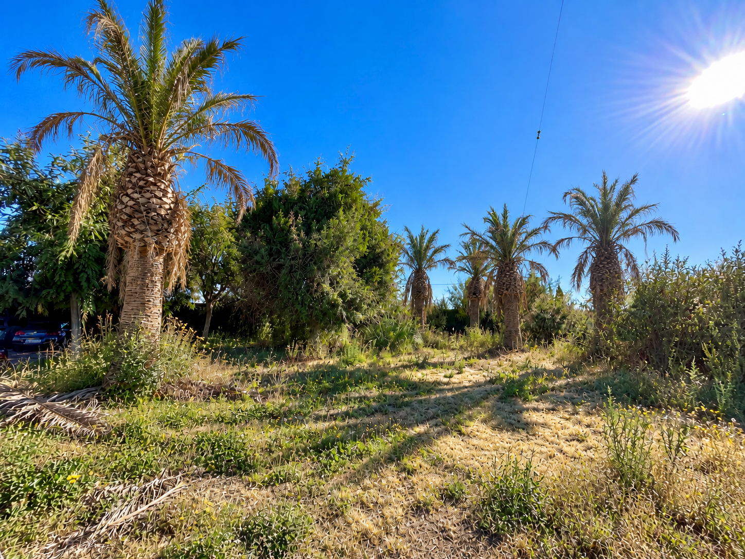 Simulación de transformación de un jardín: de descuidado a renovado
